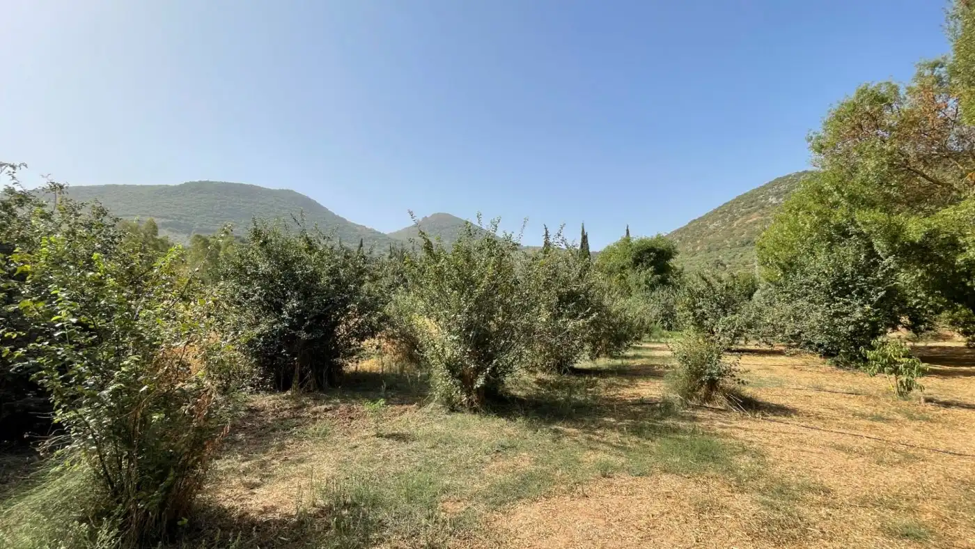 Casa o xalet en venda en Carcabuey amb Calefacció, Jardí privat i Terrassa