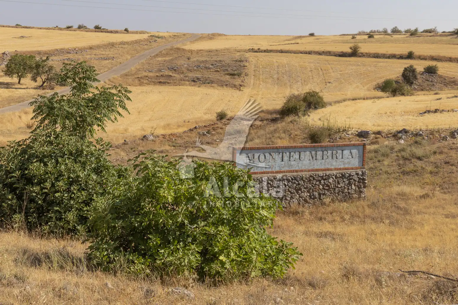 Houses for sale in Escopete  with Heating, Private garden and Swimming Pool