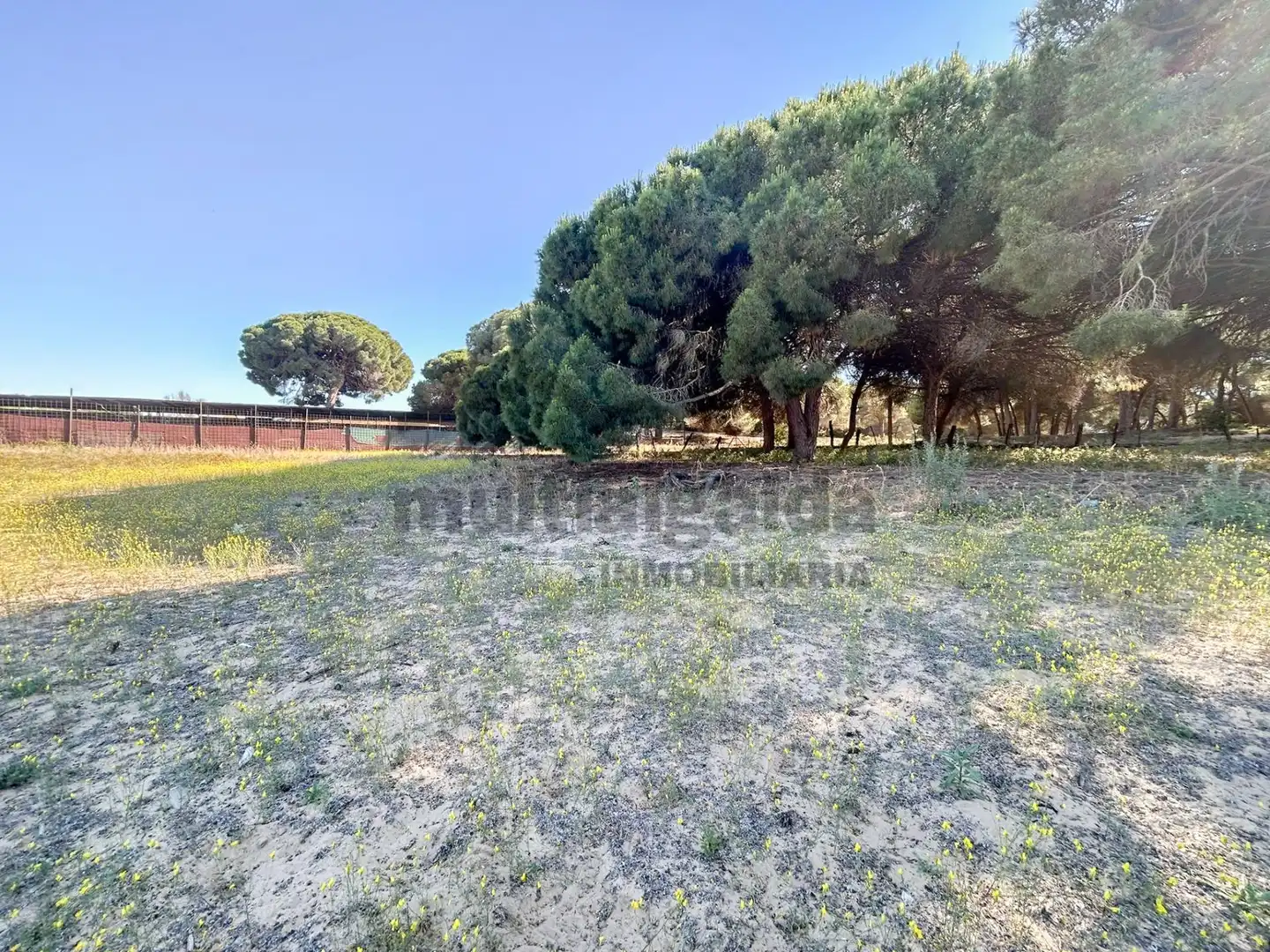 Grundstücke zum Verkauf in Sanlúcar de Barrameda