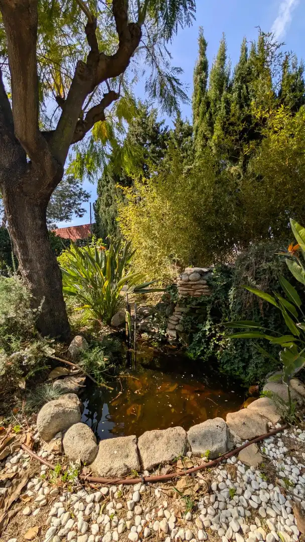 Jardín de Casa o chalet en venta en Elche / Elx con Aire acondicionado, Calefacción y Jardín privado