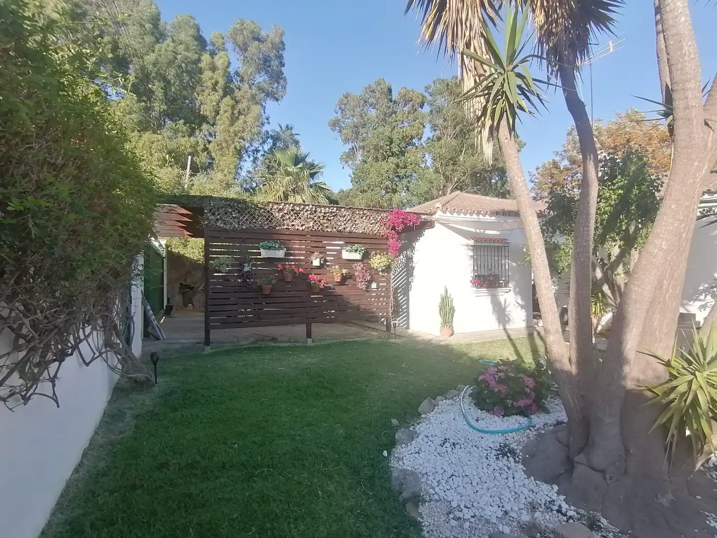 Jardí de Casa o xalet en venda en Algeciras amb Jardí privat