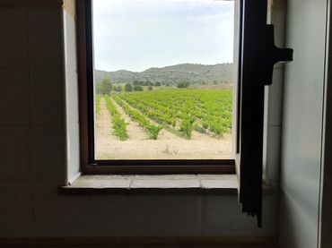 Terreno rustico in vendita a Yecla