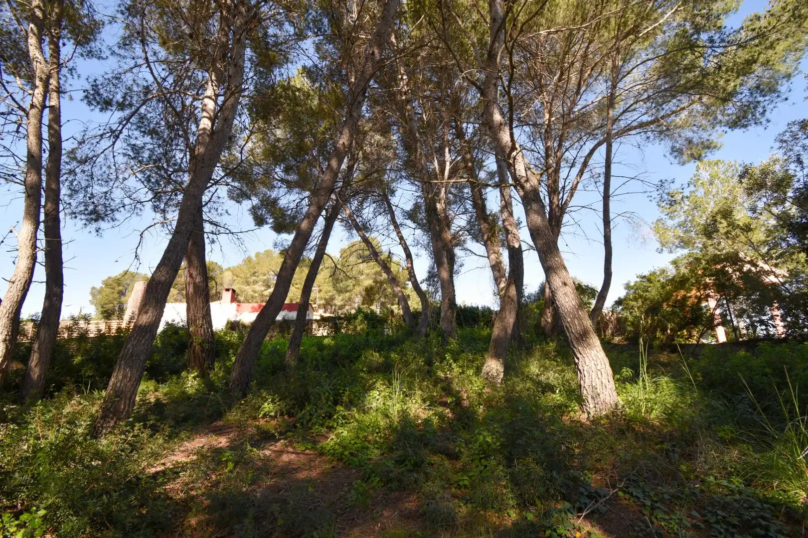 Terreny residencial en venda a Olivella, imagen 10