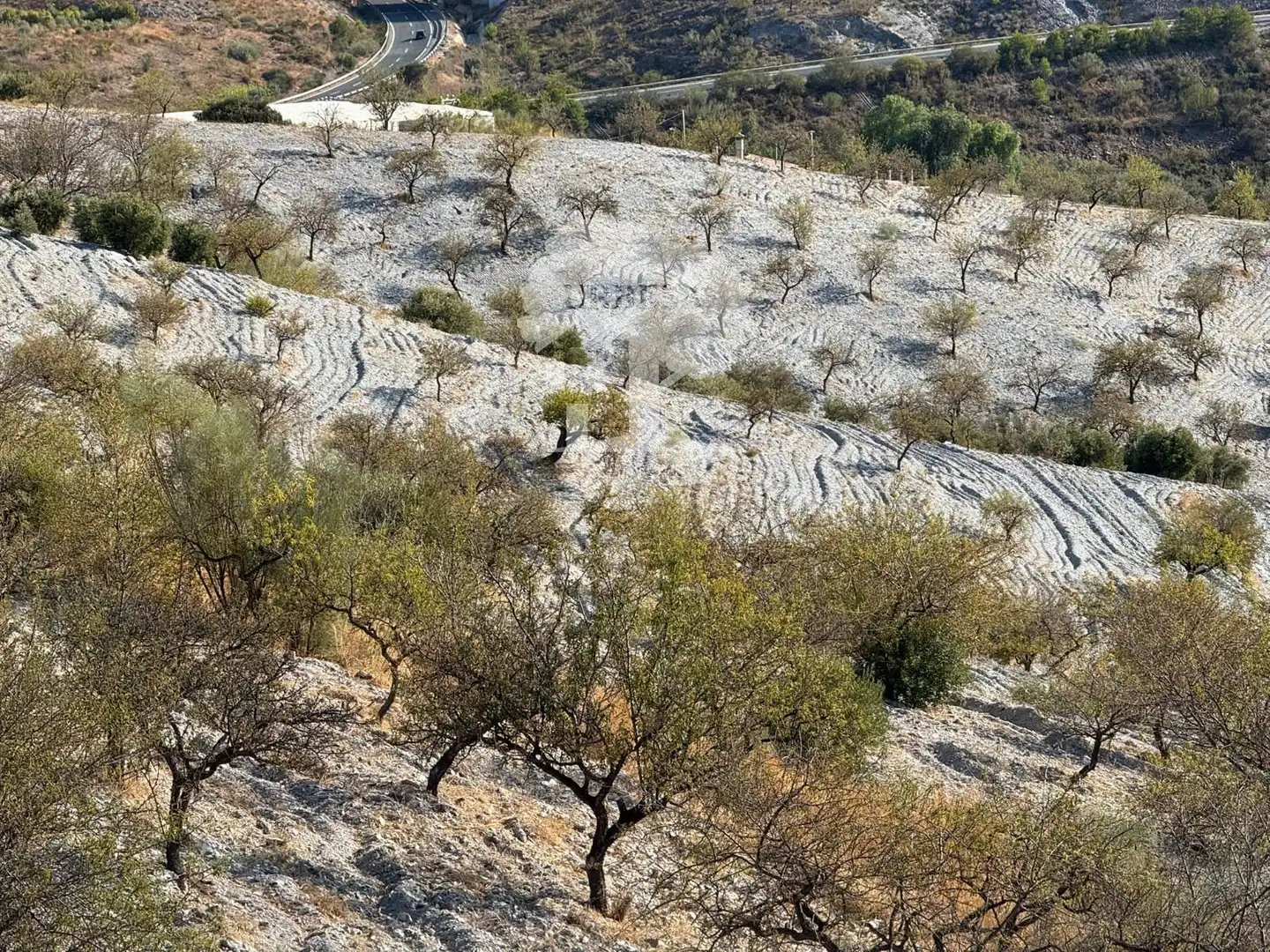 Außenansicht von Grundstücke zum Verkauf in Vélez de Benaudalla