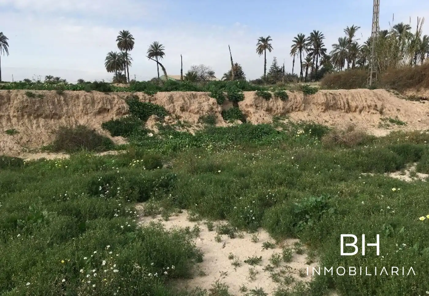 Industrial land for sale in Elche / Elx