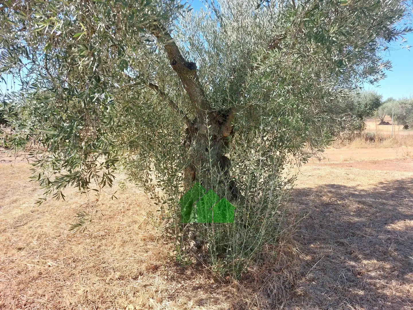 Jardín de Residencial en venta en Montijo