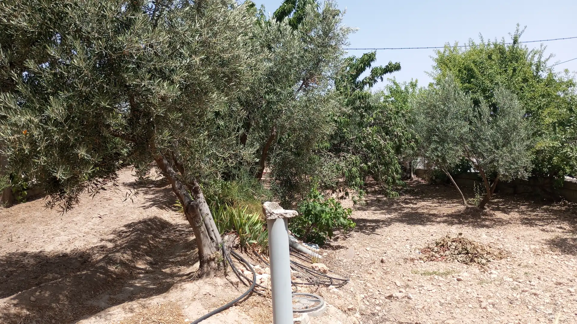 Casa o xalet en venda en Baza amb Moblat