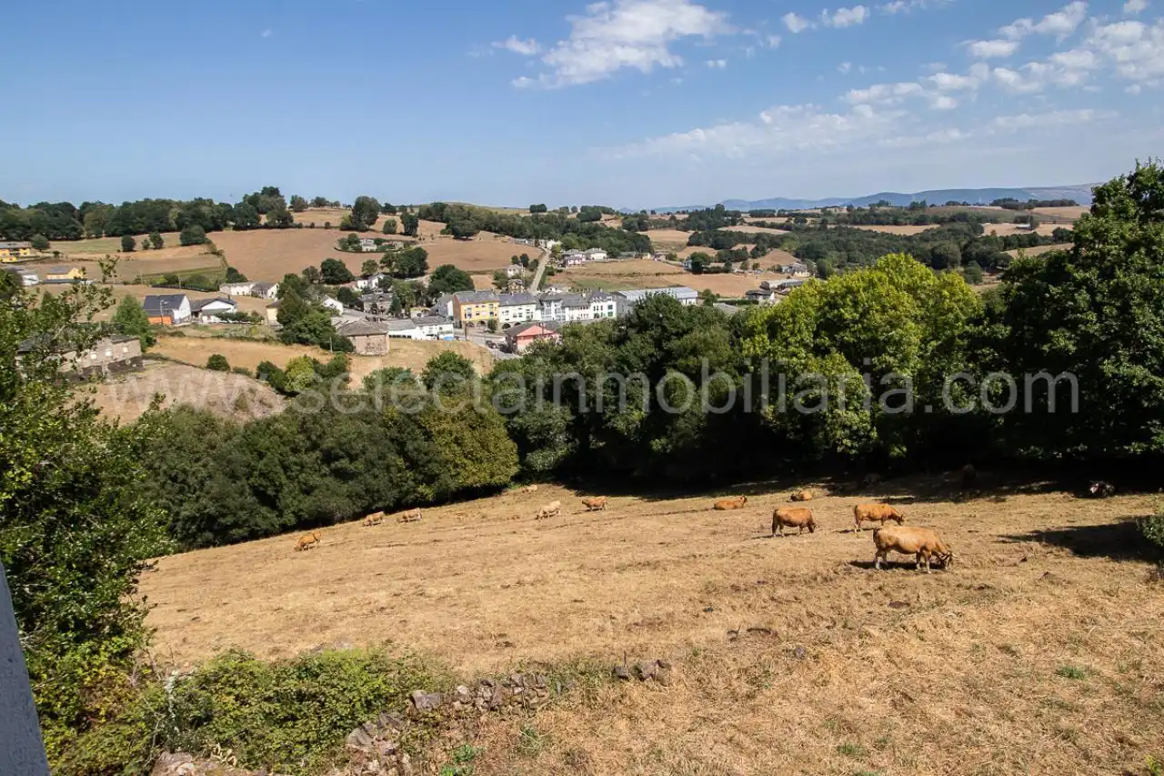 Vista exterior de Casa o xalet en venda en San Martín de Oscos amb Calefacció, Jardí privat i Terrassa