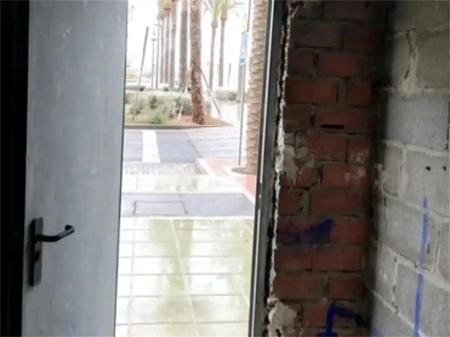 Exterior view of Commercial properties for rent in El Ejido