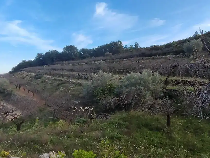 Casa o xalet en venda en Sierra Engarcerán amb Balcó
