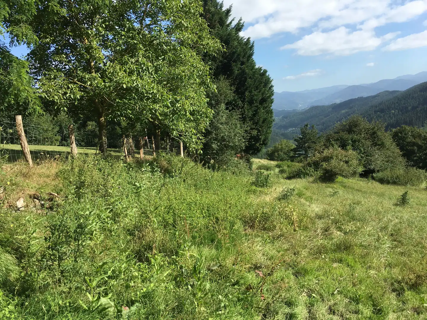 Finca rústica en venta en Beasain