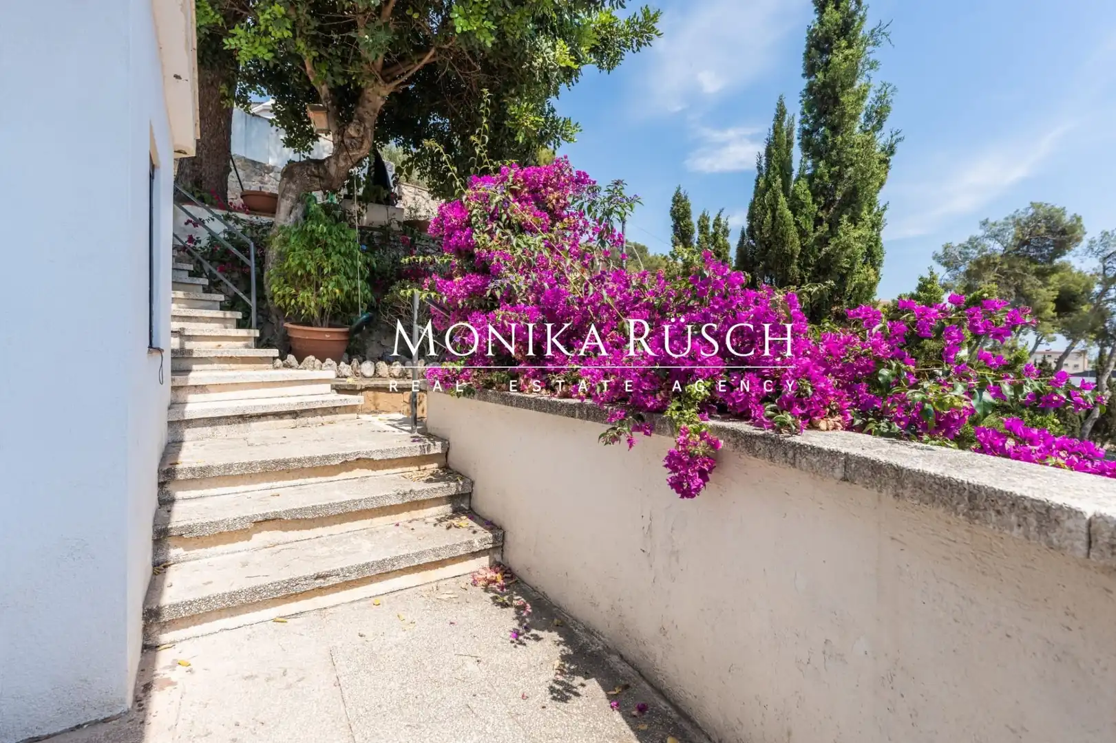 Houses for rent in Bellamar