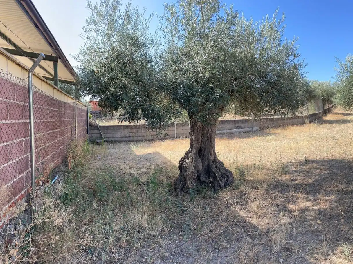Terreno en venta en Valdefuentes
