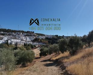Exterior view of Country house for sale in Setenil de las Bodegas
