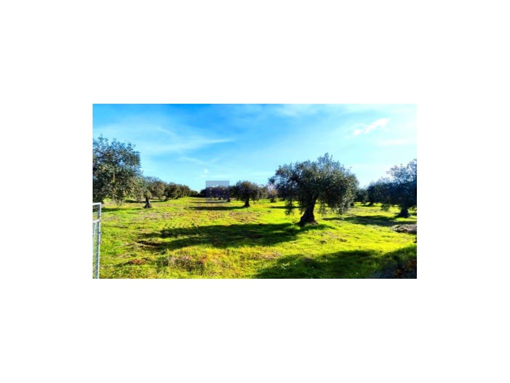 Residential for sale in Valdefuentes