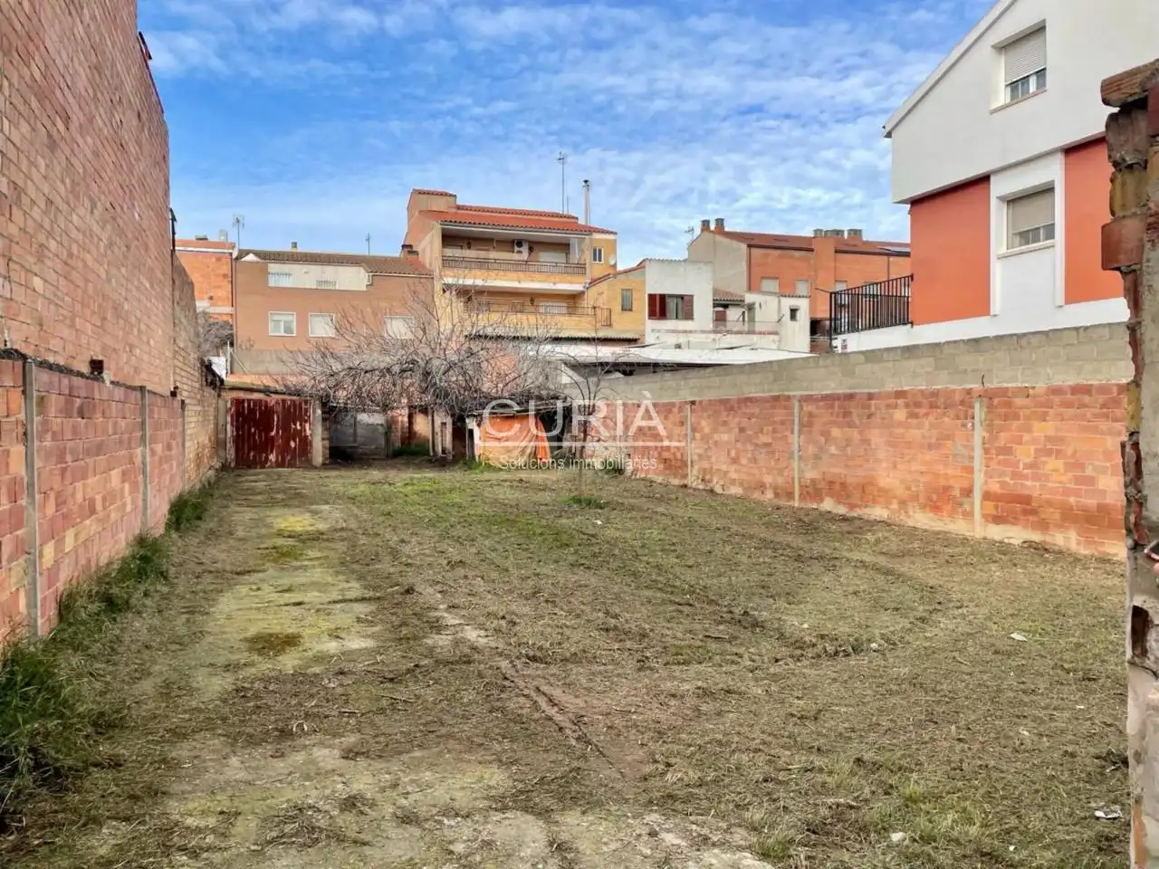 Rural land for sale in Calle Farraginals, imagen 2