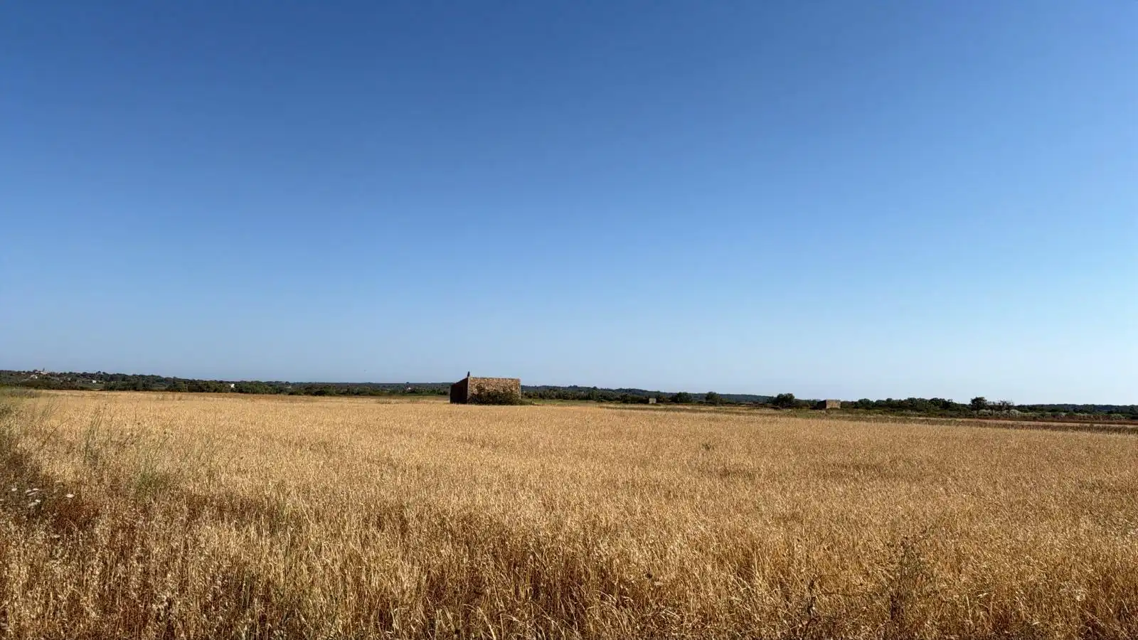 Terreny rústic en venda a Colònia Sant Jordi, imagen 2