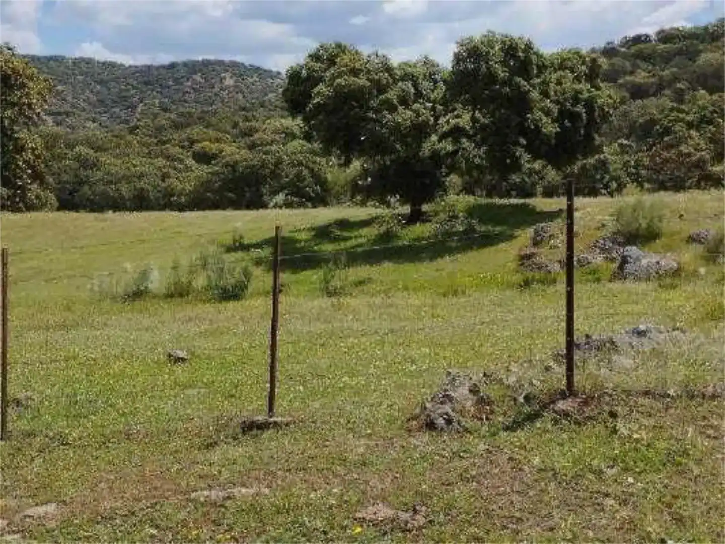 Terreno en venta en Montemolín, Badajoz