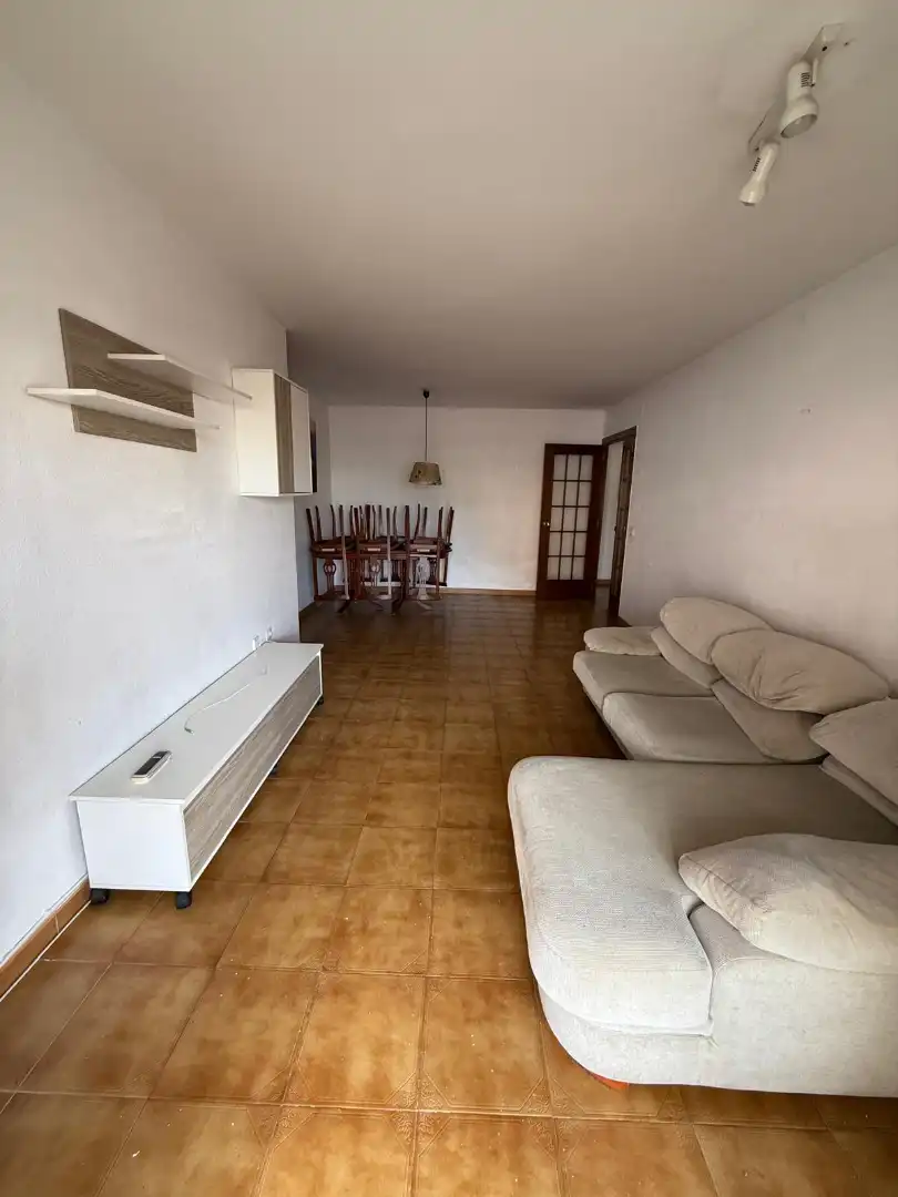 Sala de estar de Piso en venta en Pineda de Mar con Balcón