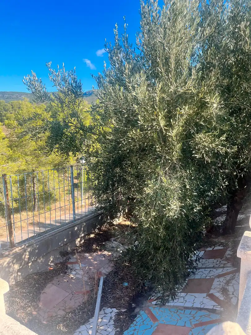 Jardín de Casa o chalet en venta en Aiguamúrcia con Jardín privado, Terraza y Trastero