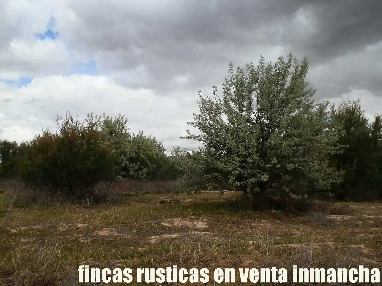 Terreny rústic en venda a Alcázar de San Juan, imagen 11