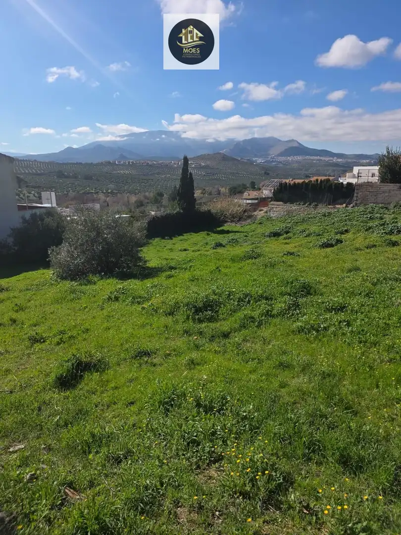 Terreni e lotti in vendita a La Guardia de Jaén, imagen 2