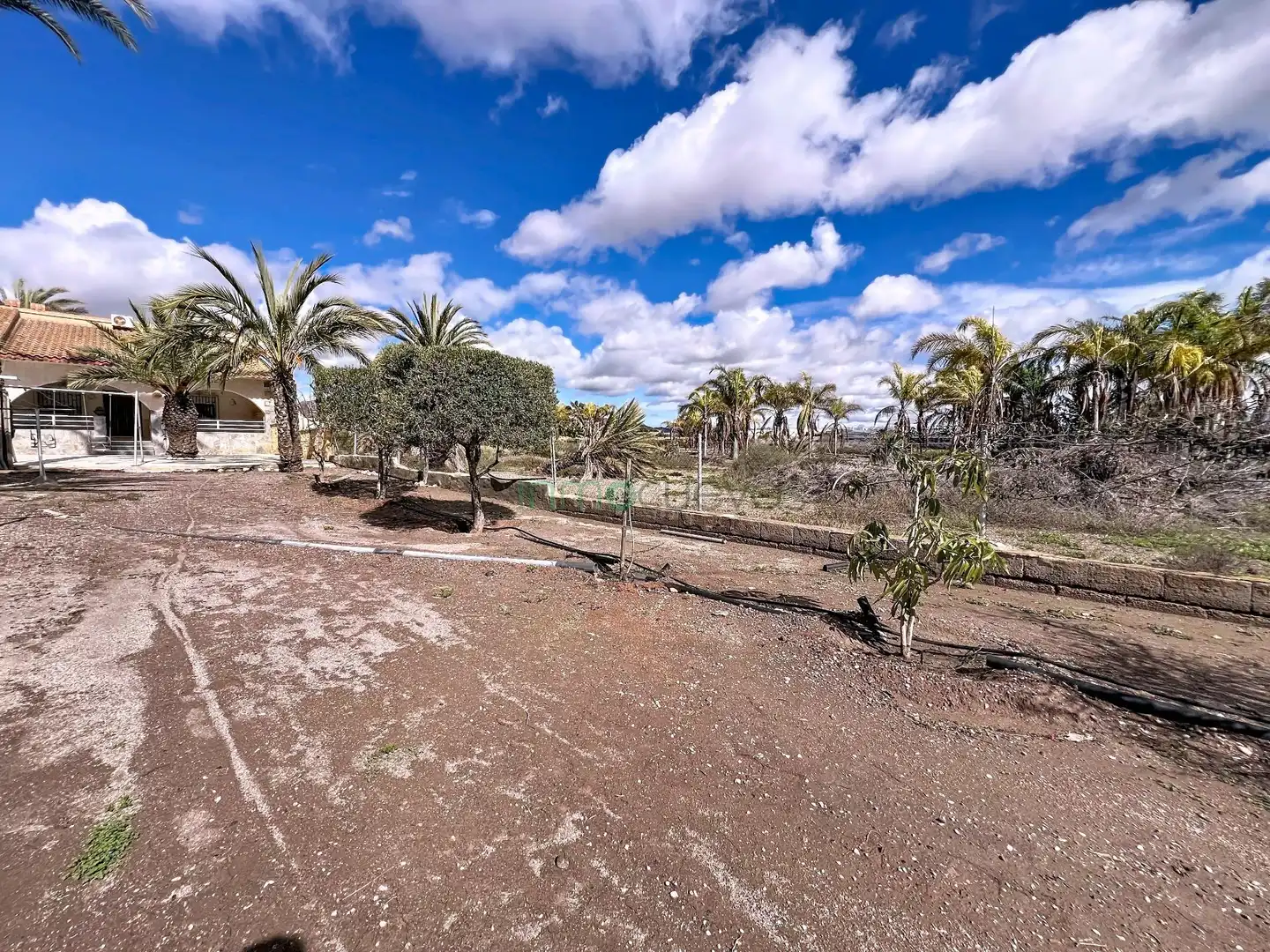 Casa con giardino in vendita a San Juan de los Terreros, imagen 3