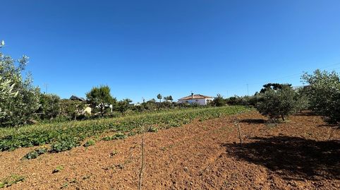 Photo 5 of Houses for sale in Las Lagunas - Campano, Chiclana de la Frontera