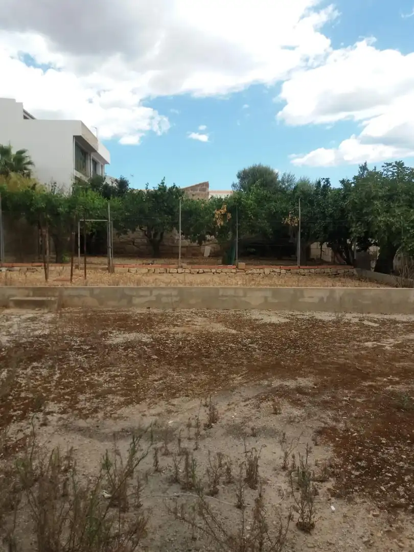 Lands and plots for sale in Sa Pobla, imagen 18