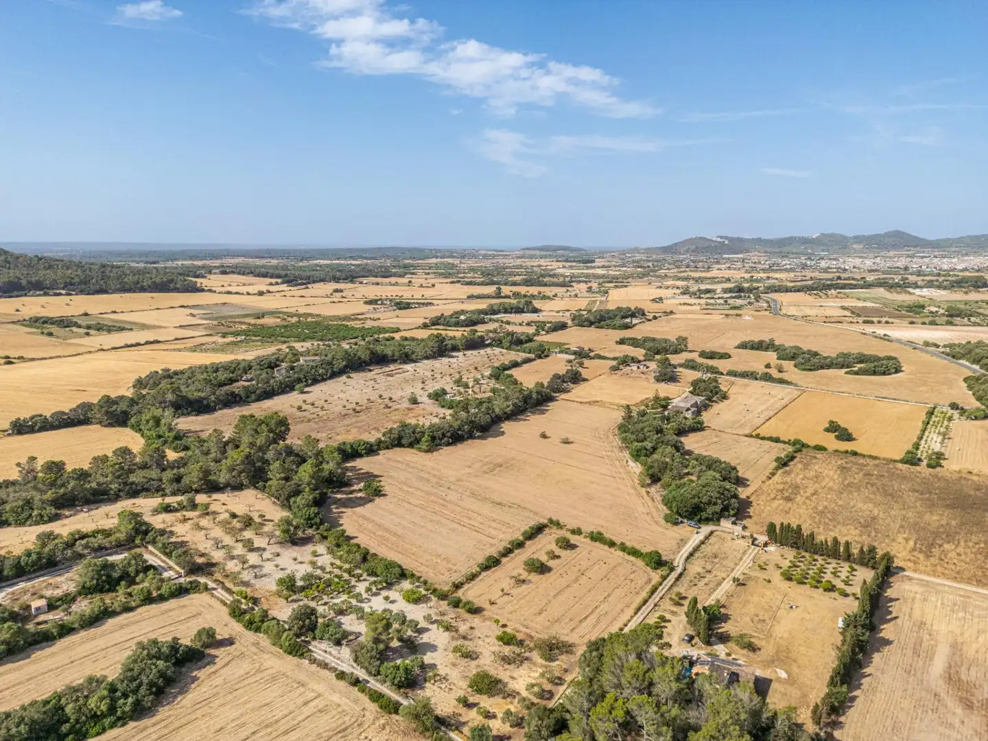 Terrain rustique à vendre à Diseminado Son Mora 199, imagen 2