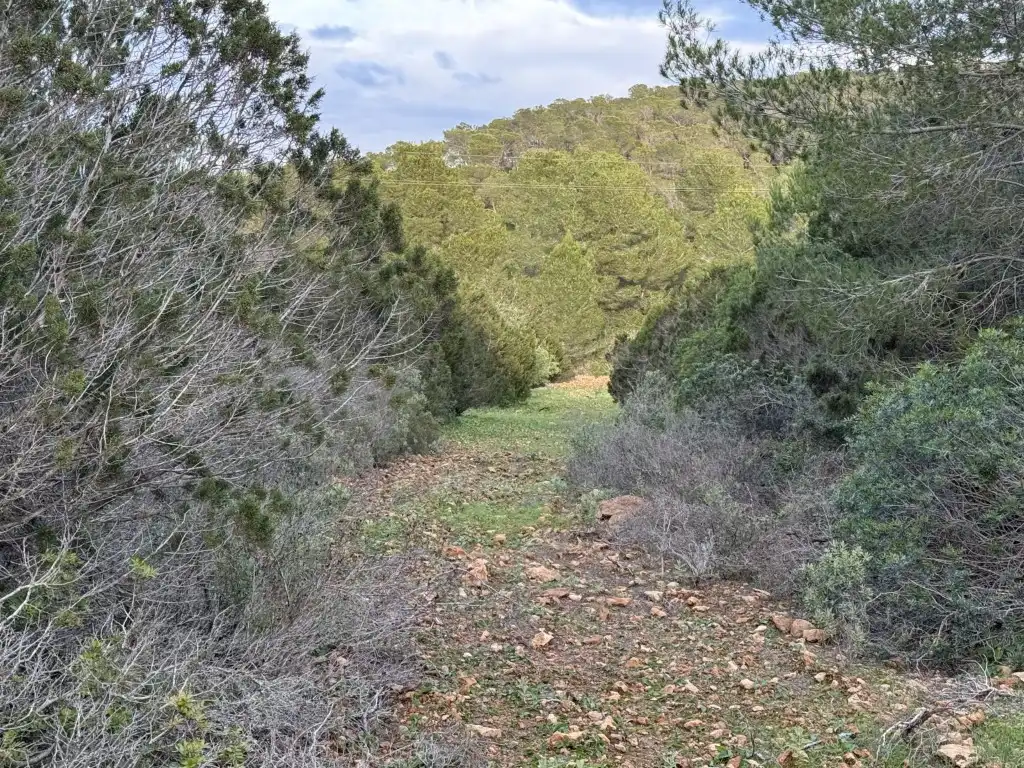 Residential for sale in Sant Josep de sa Talaia