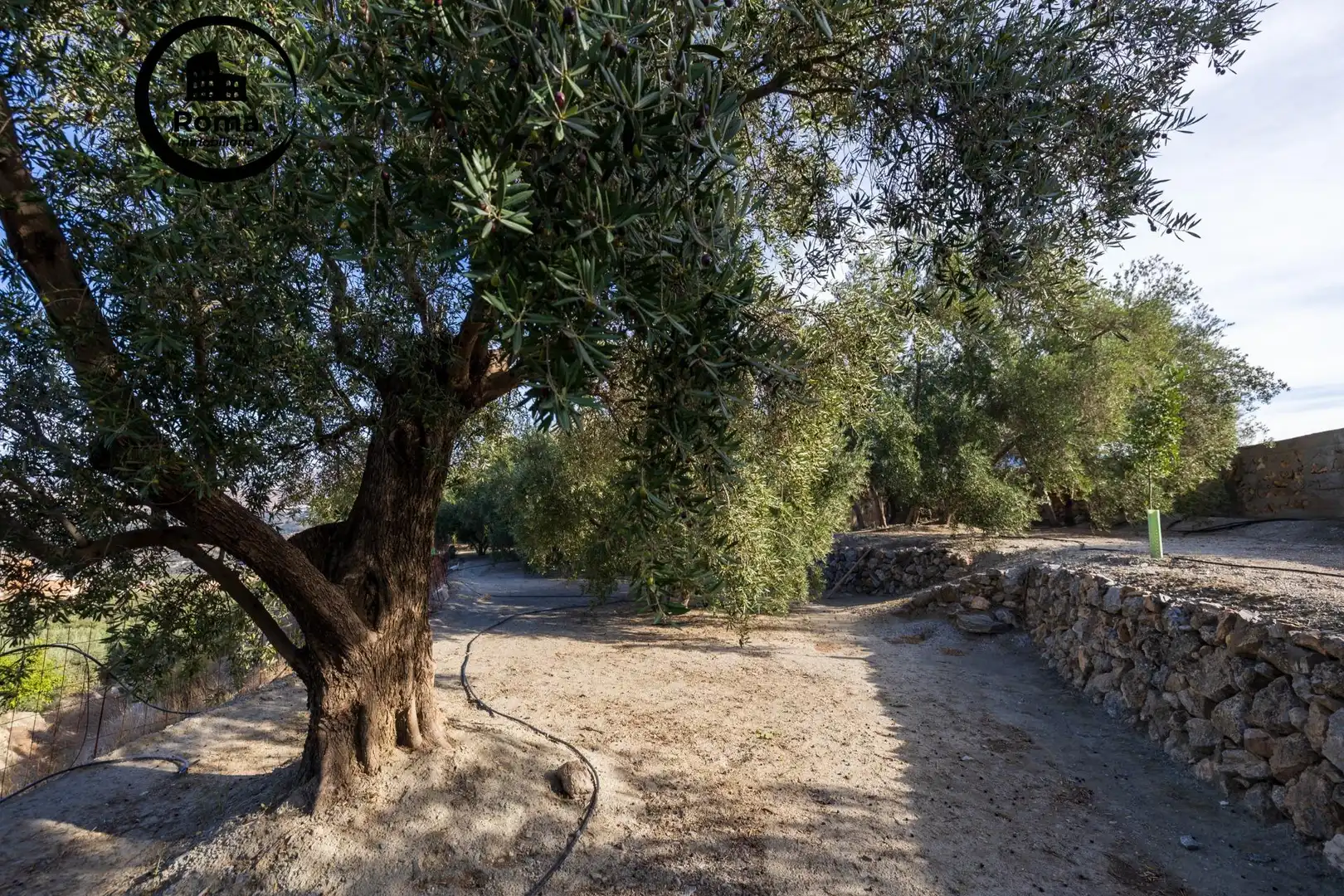 Terreni e lotti in vendita a Lecrín, imagen 12