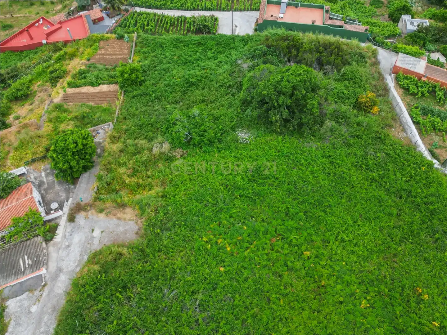 Terreno rustico in vendita a Calle Alzados Guanches, La Orotava, Spain, imagen 4