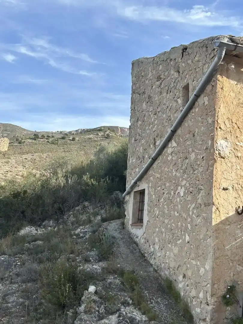 Vista exterior de Finca rústica en venda en Tibi