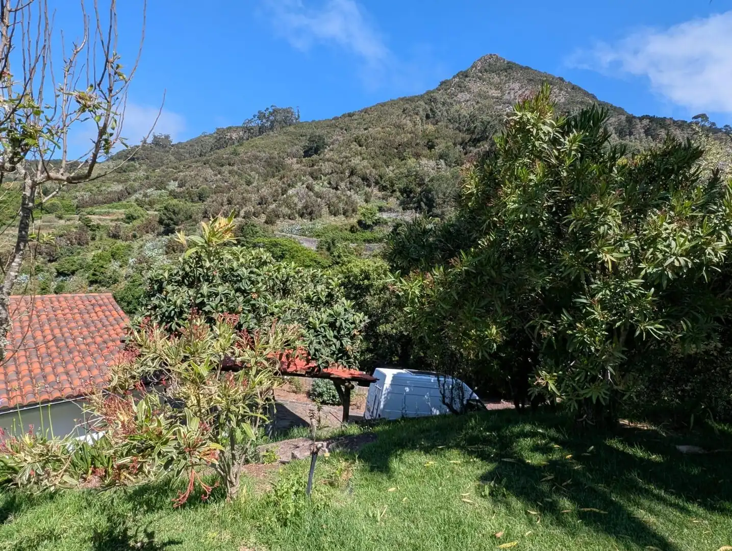 Garden of Houses for rent in Tegueste  with Private garden, Terrace and Swimming Pool
