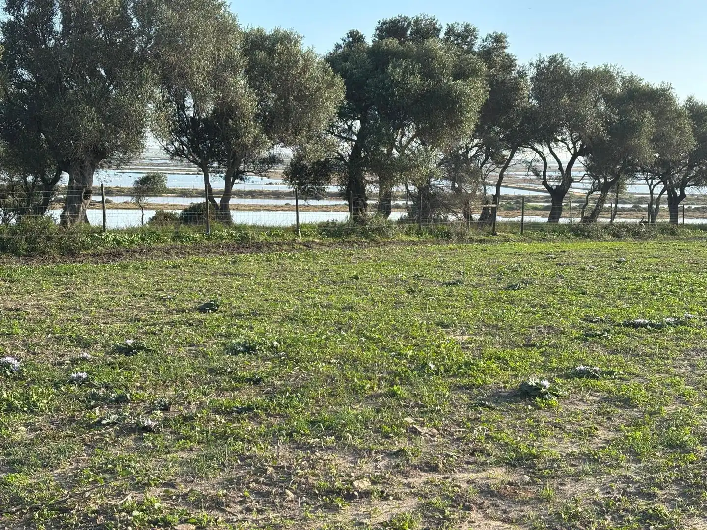 Terreni e lotti in vendita a Vejer, imagen 6