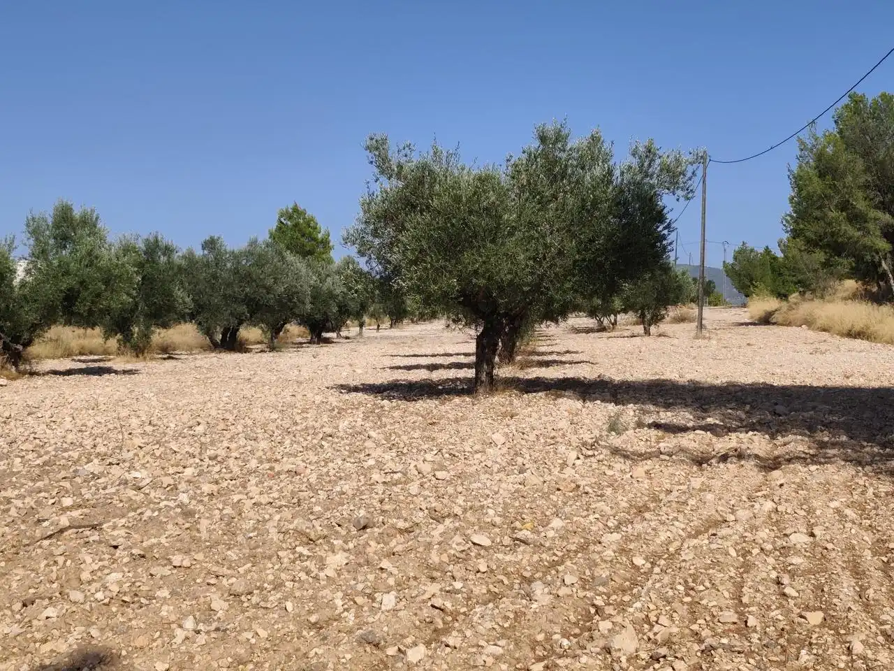 Terreno rustico in vendita a Castalla, imagen 23
