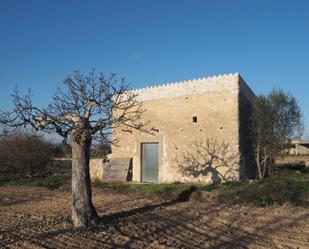 Exterior view of Country house for sale in Montuïri