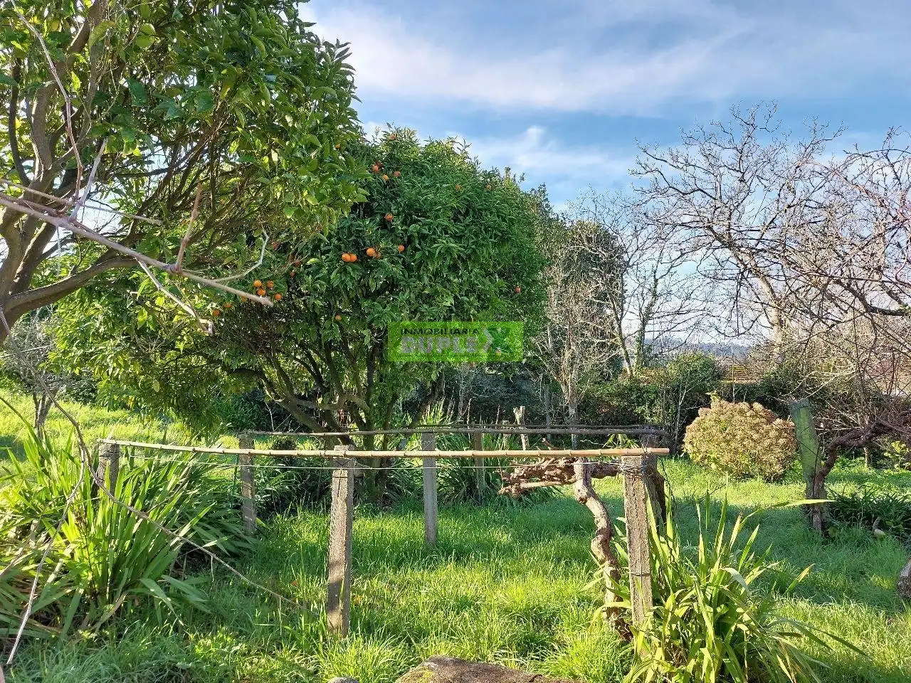 Maison avec jardin à vendre à Zona Fernández Ladreda, imagen 75