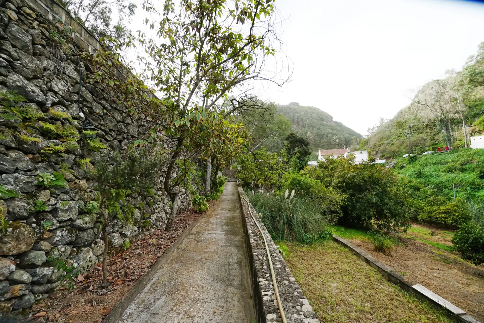 Vista exterior de Finca rústica en venda en Teror amb Jardí privat i Terrassa