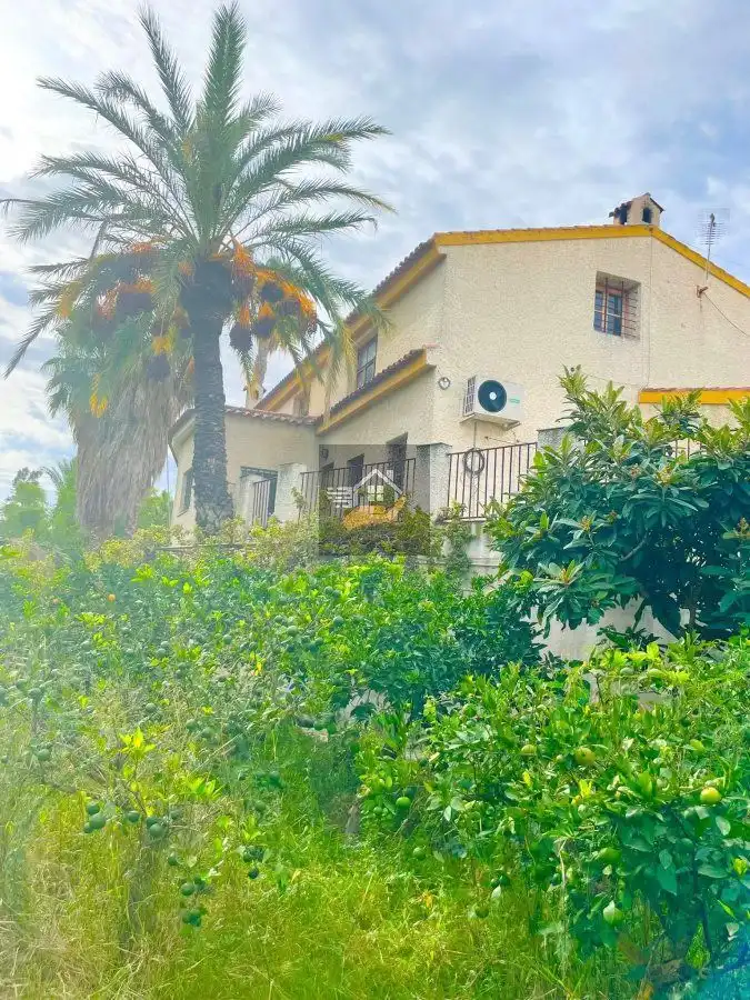 Vista exterior de Casa o chalet en venta en Molina de Segura con Terraza