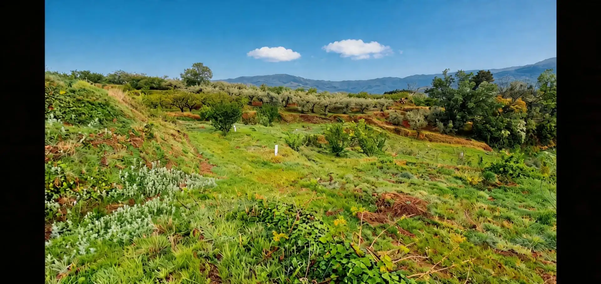 Terreno en venta en Jaraíz de la Vera
