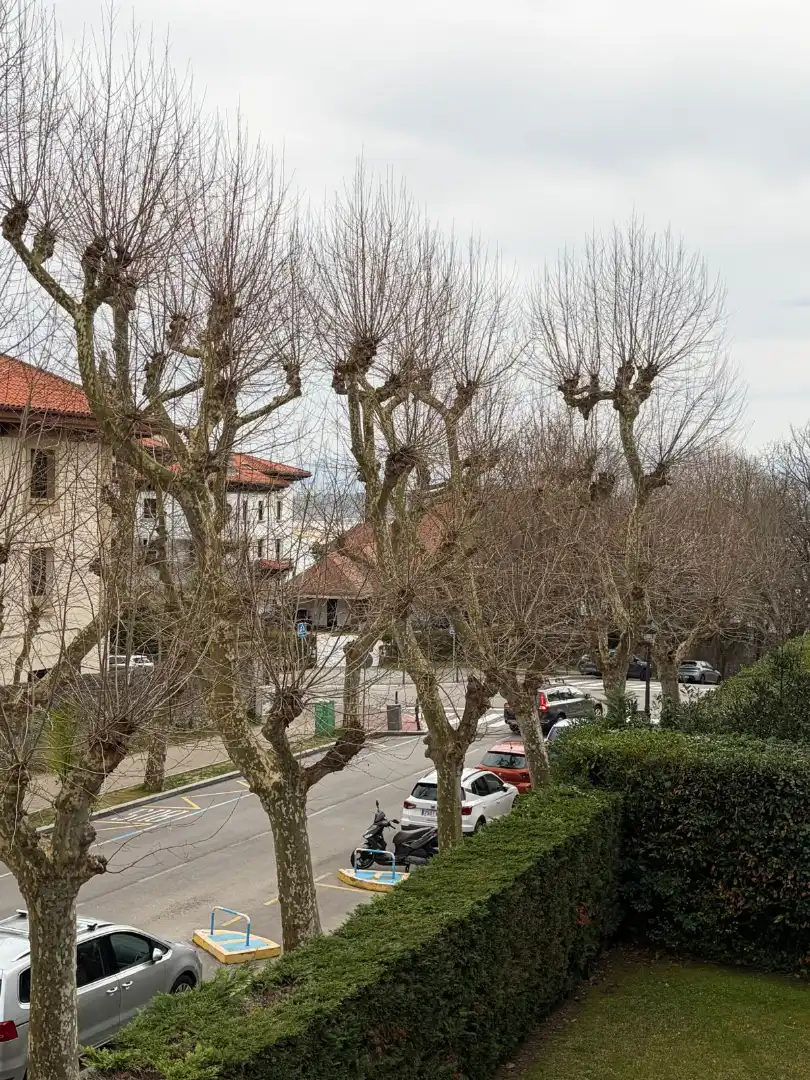 Vista exterior de Casa o chalet en venta en Santander con Calefacción, Jardín privado y Terraza