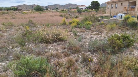Foto 2 de Residencial en venta en Moralet, Alicante / Alacant