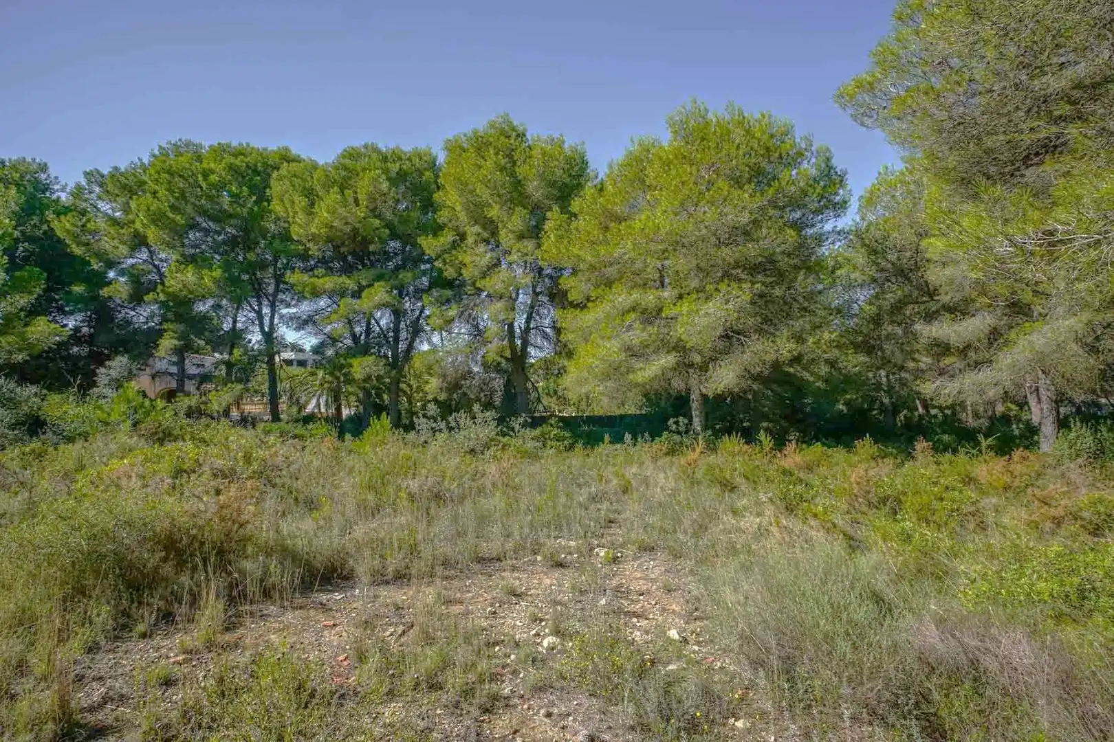 Residential land for sale in Centro ciudad, imagen 3