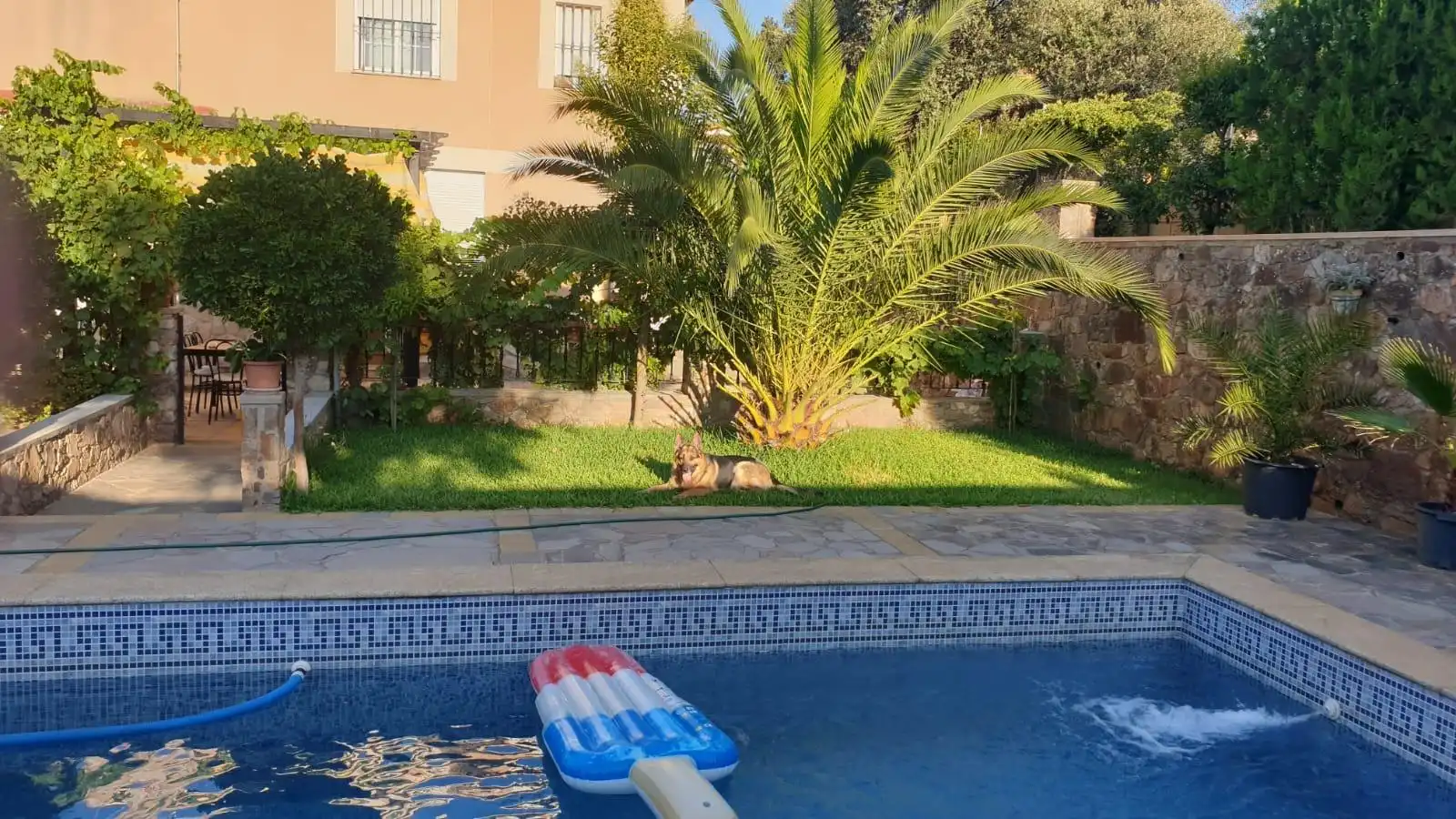 Swimming pool of Houses for sale in Cáceres  with Air Conditioner, Heating and Private garden