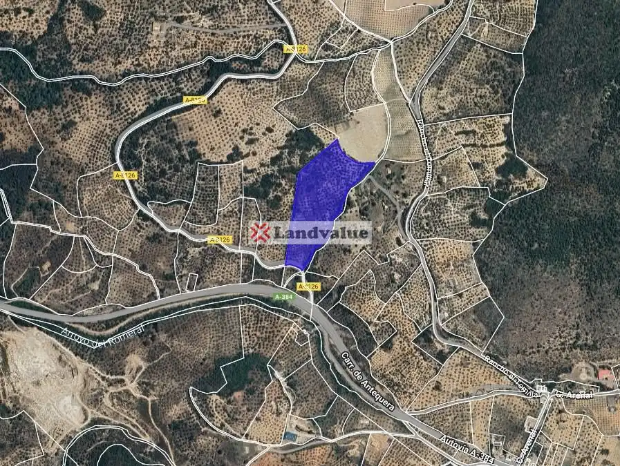 Land for sale in Algodonales
