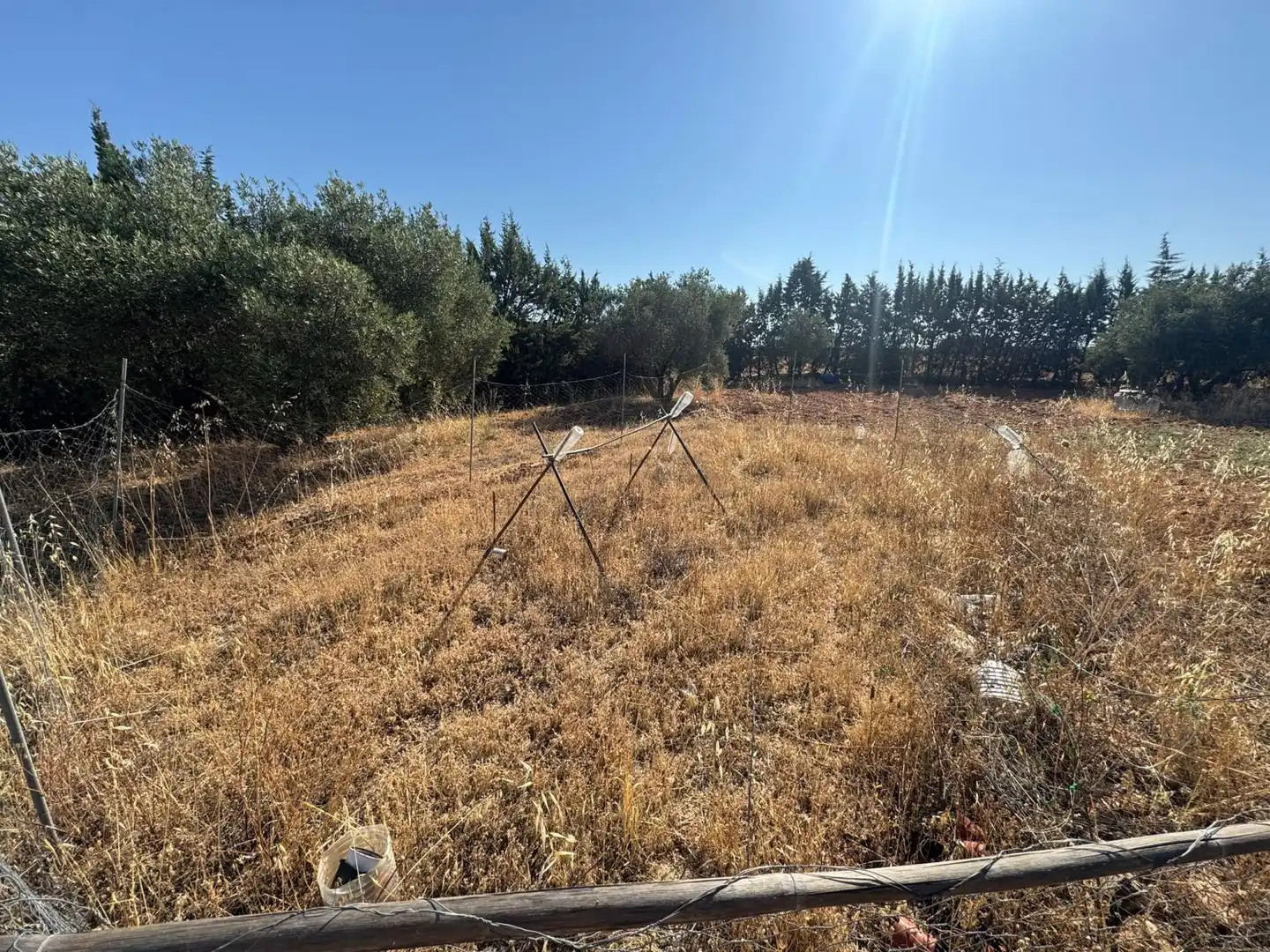 Casa rústica en venda a Valdepeñas, imagen 36