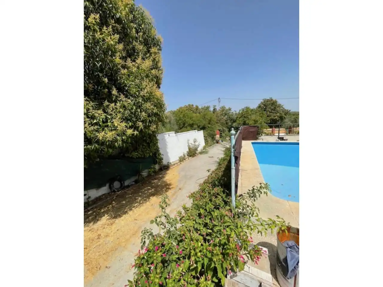 Vista exterior de Casa o chalet en venta en Lucena con Terraza y Piscina