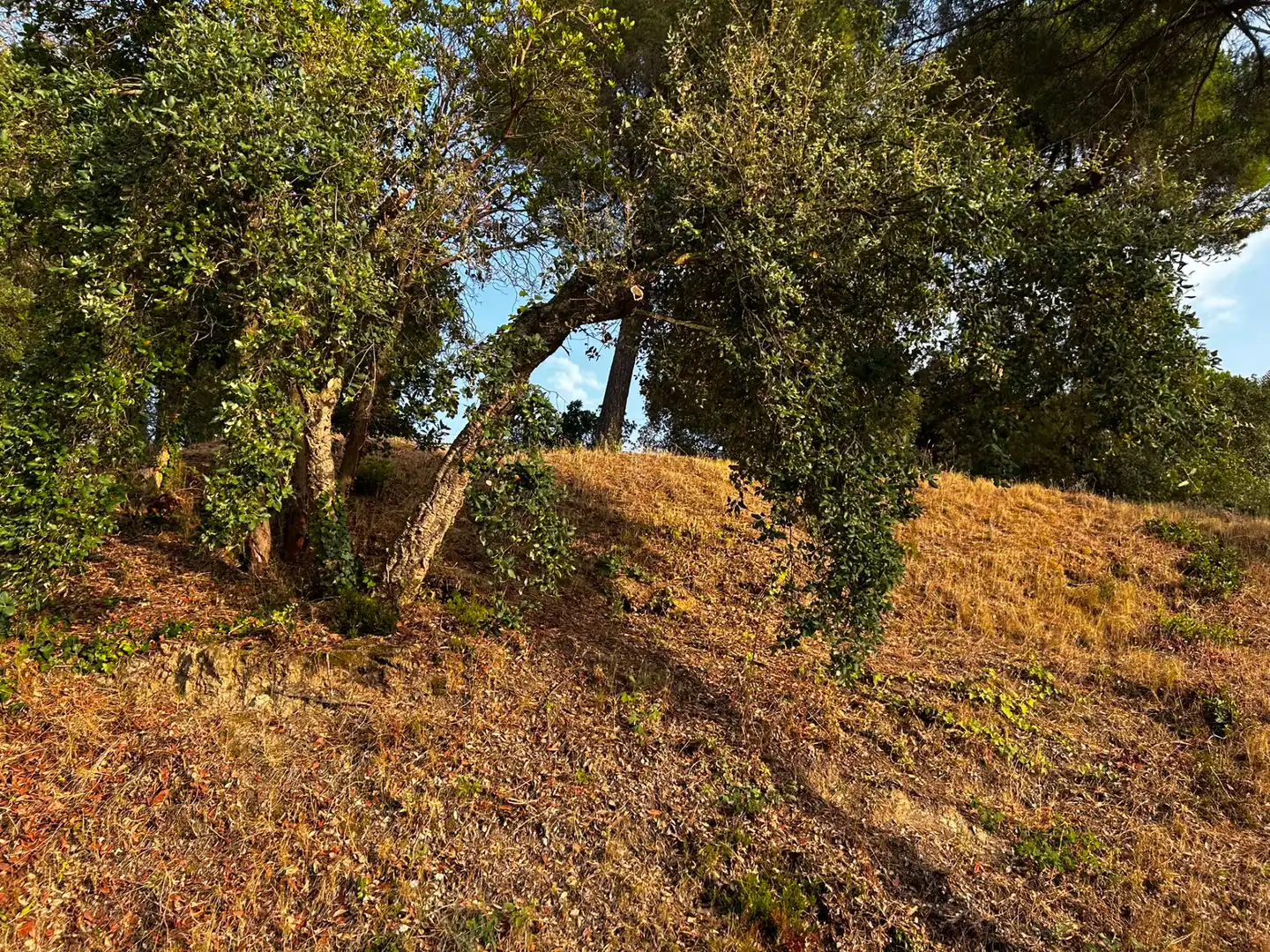 Terreno residencial en venta en Mas Mora - Sant Daniel, imagen 7
